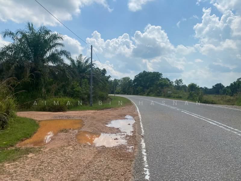 Agricultural Land for Sale in Rompin (Pahang) - Aiman Bin Hasnan - Exterior - PropertyGuru.com.my