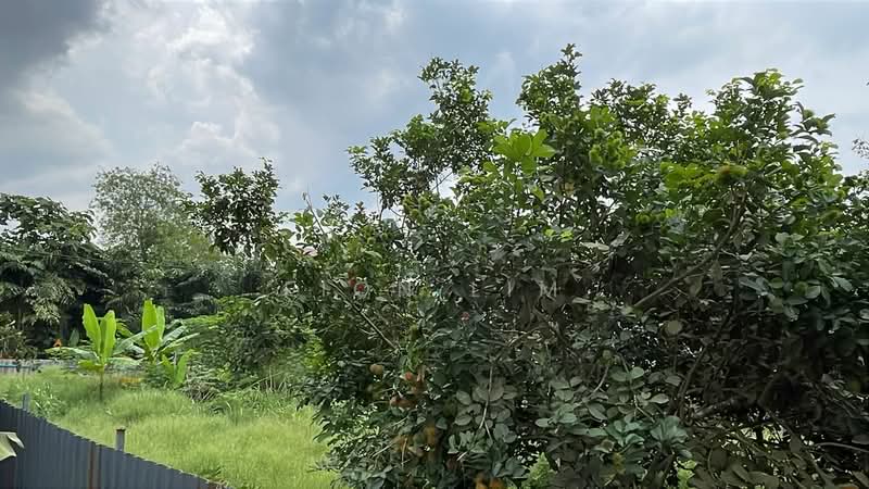 Other Property for Sale in Kampung Baru Seelong (Senai) - Fion Lim - Garden - PropertyGuru.com.my