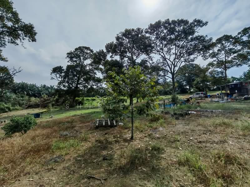 Tanah Pertanian untuk Dijual di Kangkar Pulai (Skudai) - Shirley Lim - Exterior - PropertyGuru.com.my