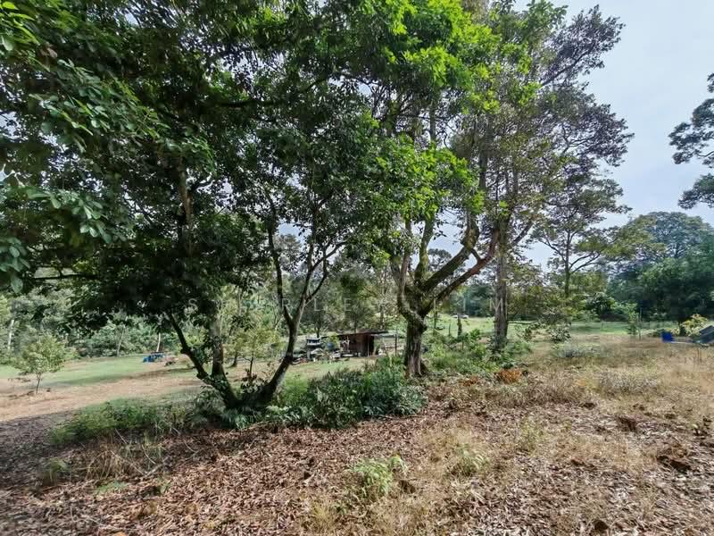 Tanah Pertanian untuk Dijual di Kangkar Pulai (Skudai) - Shirley Lim - Garden - PropertyGuru.com.my