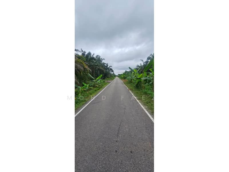 Agricultural Land for Sale in Pontian (Johor) - Mohd Faez - Exterior - PropertyGuru.com.my