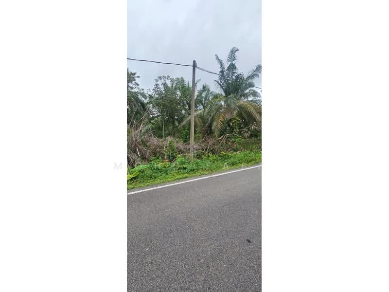 Agricultural Land for Sale in Pontian (Johor) - Mohd Faez - Exterior - PropertyGuru.com.my