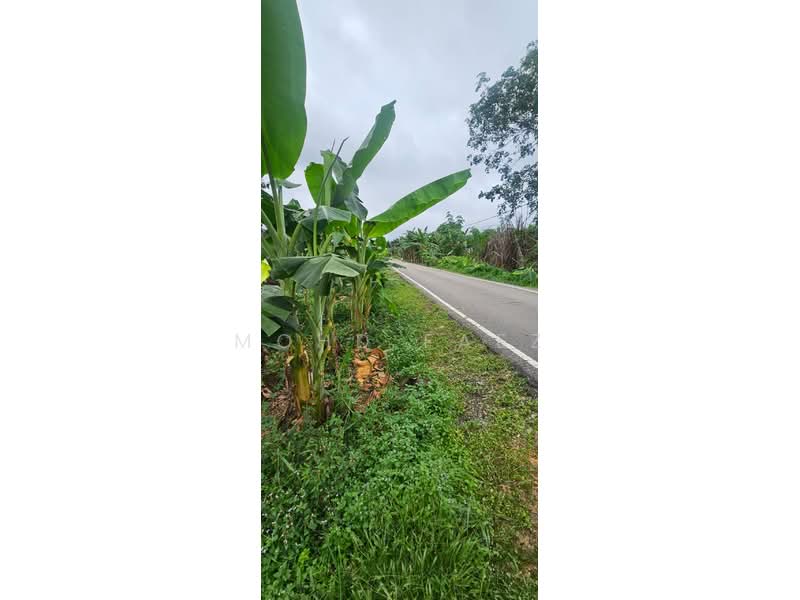 Agricultural Land for Sale in Pontian (Johor) - Mohd Faez - Exterior - PropertyGuru.com.my