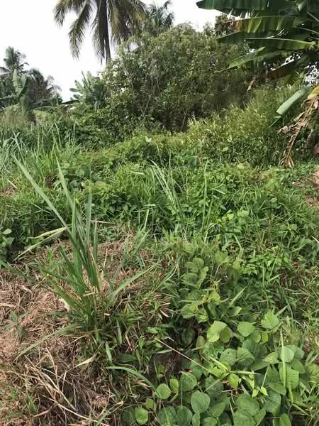 Residential Land for Sale in Sepang (Selangor) - Wan Azemi Wan Daud - Exterior - PropertyGuru.com.my