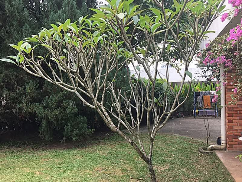 Bungalow for Rent in Damansara Heights (Damansara Heights) - Wes Chang - Exterior - PropertyGuru.com.my