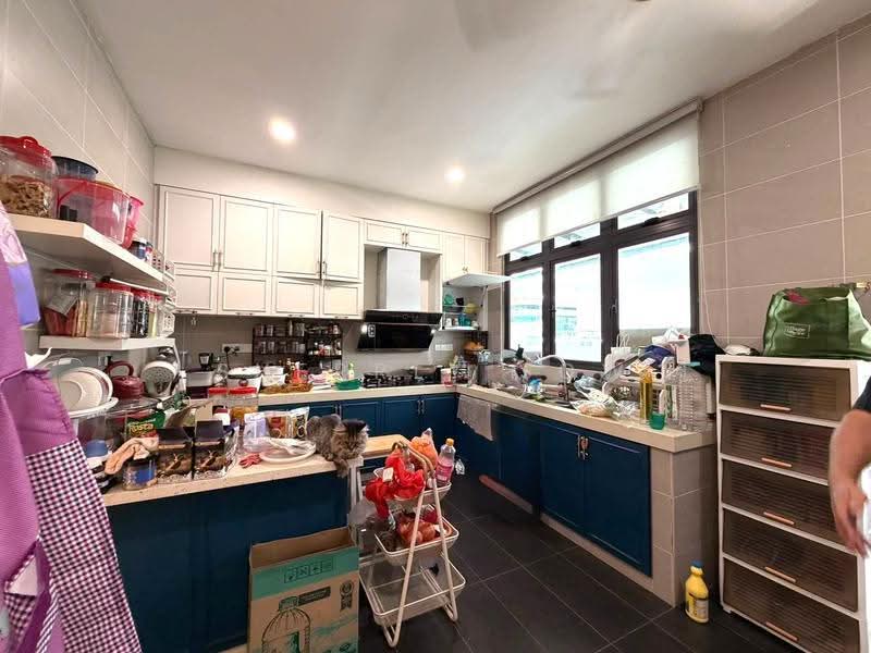 Semi-Detached House for Sale in Eco Botanic (Iskandar Puteri (Nusajaya)) - Sherrly Sow - Kitchen - PropertyGuru.com.my
