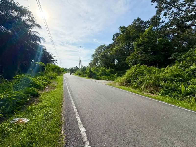 Agricultural Land for Sale in Pontian (Johor) - Joreen Lee - PropertyGuru.com.my