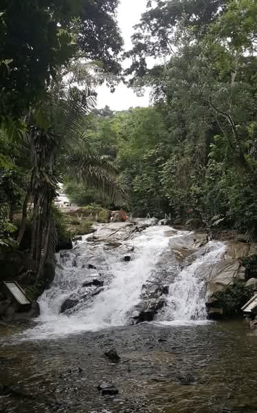 Agricultural Land for Sale in Chenderiang (Perak) - Vivian Chye - PropertyGuru.com.my