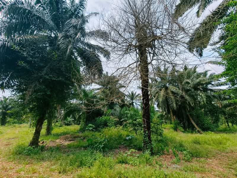 Agricultural Land for Sale in Taman Desa Cemerlang (Ulu Tiram) - Shela Lim - PropertyGuru.com.my