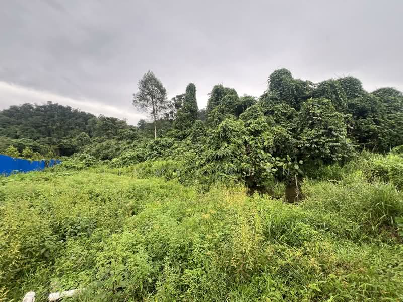 Tanah Pertanian untuk Dijual di Kuching (Sarawak) - Jimmyy Chin - PropertyGuru.com.my