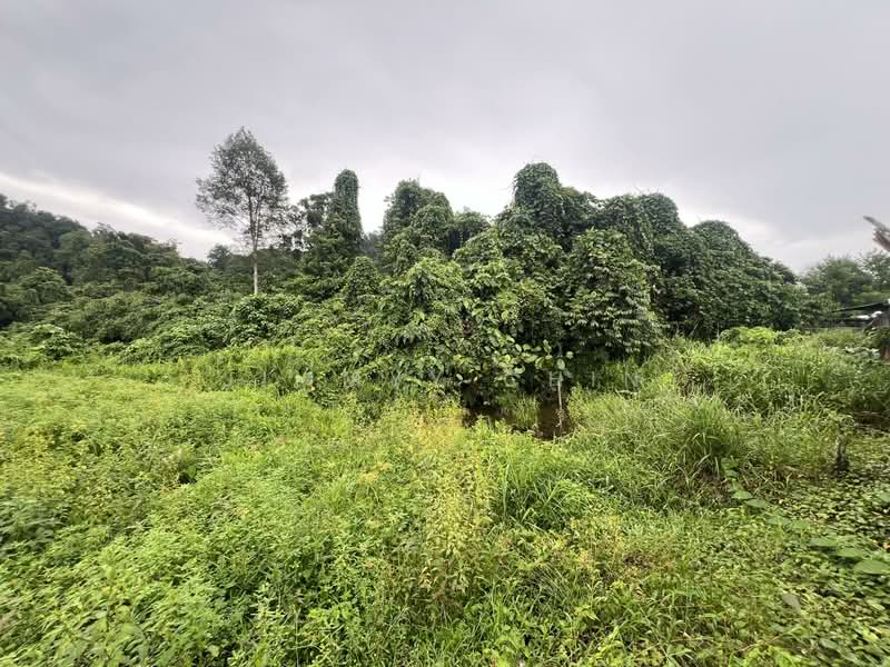 Tanah Pertanian untuk Dijual di Kuching (Sarawak) - Jimmyy Chin - PropertyGuru.com.my