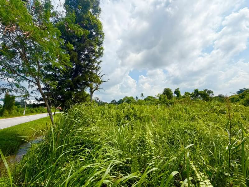 Tanah Perindustrian untuk Dijual di Gelang Patah (Johor) - Joreen Lee - PropertyGuru.com.my