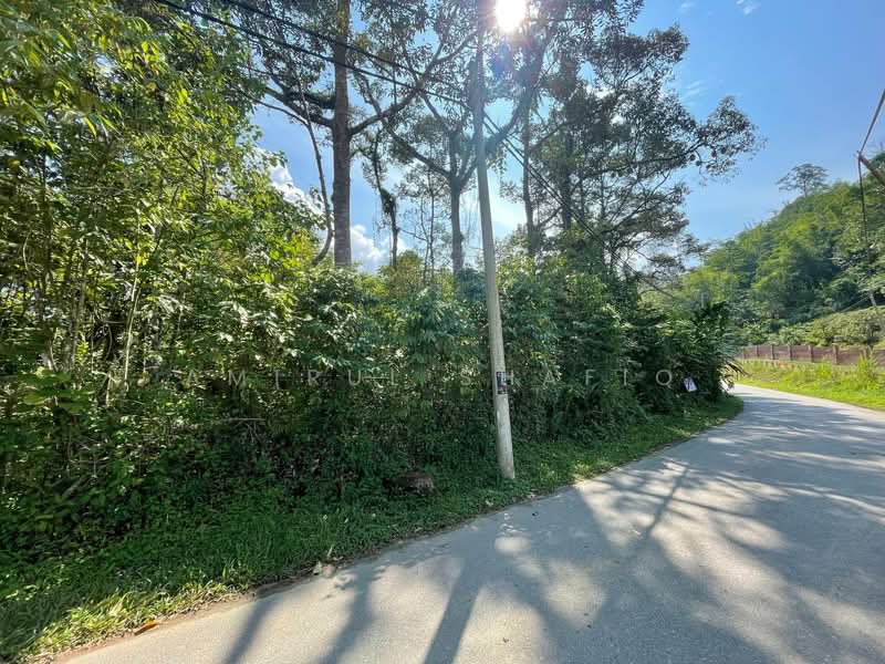 Tanah Pertanian untuk Dijual di Janda Baik (Bentong) - Amirul Shafiq - Exterior - PropertyGuru.com.my