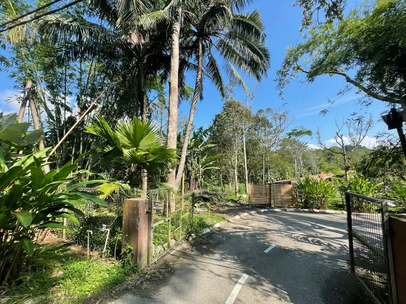 Tanah Pertanian untuk Dijual di Janda Baik (Bentong) - Amirul Shafiq - Exterior - PropertyGuru.com.my