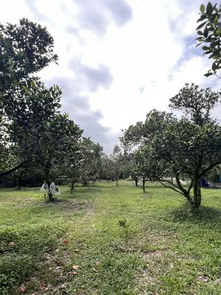 Agricultural Land for Sale in Mantin (Negeri Sembilan) - Kenny Yew - PropertyGuru.com.my