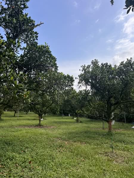 Agricultural Land for Sale in Mantin (Negeri Sembilan) - Kenny Yew - PropertyGuru.com.my