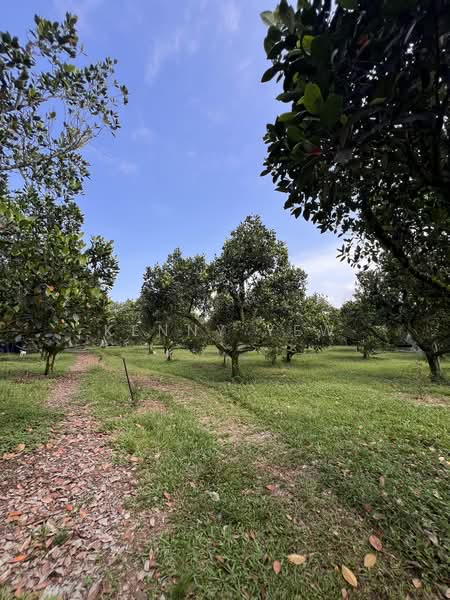 Agricultural Land for Sale in Mantin (Negeri Sembilan) - Kenny Yew - PropertyGuru.com.my