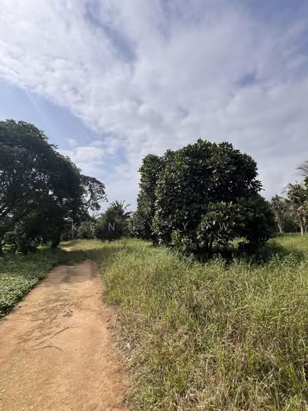Agricultural Land for Sale in Mantin (Negeri Sembilan) - Kenny Yew - PropertyGuru.com.my