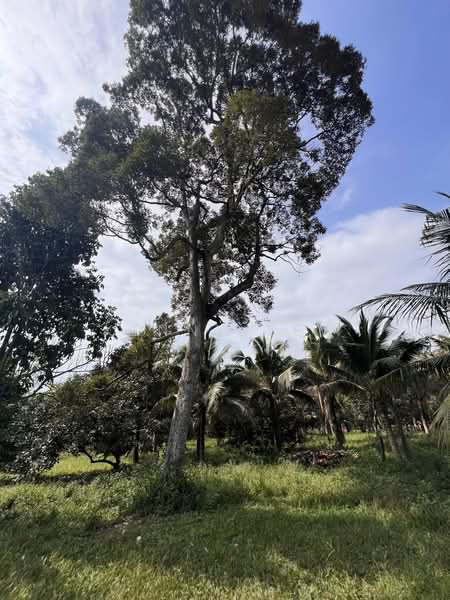 Agricultural Land for Sale in Mantin (Negeri Sembilan) - Kenny Yew - PropertyGuru.com.my
