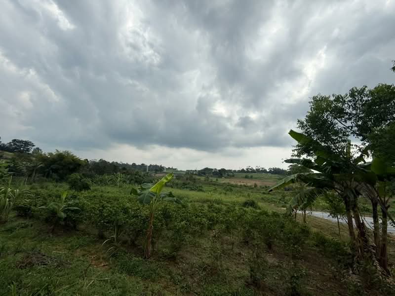 Tanah Pertanian untuk Dijual di Kampung Sungai Redang (Ulu Tiram) - Ty Tan - PropertyGuru.com.my
