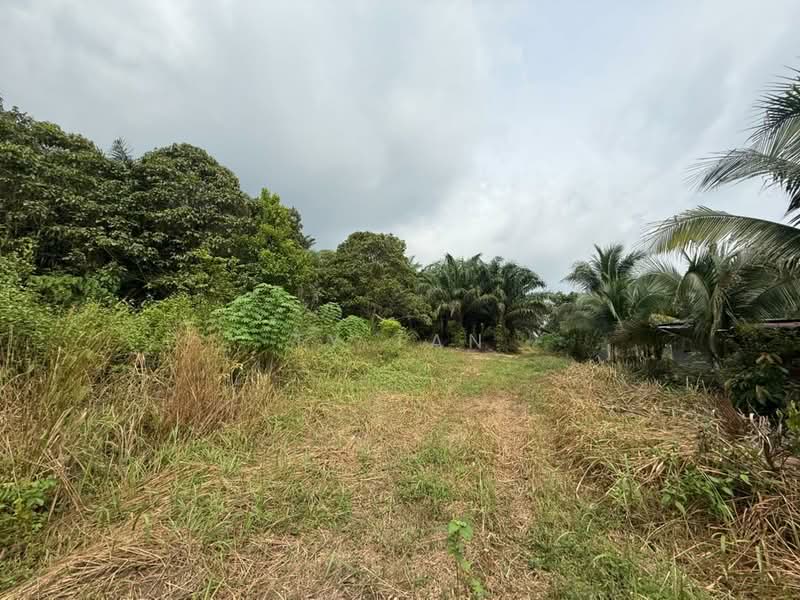 Tanah Pertanian untuk Dijual di Kampung Sungai Redang (Ulu Tiram) - Ty Tan - PropertyGuru.com.my