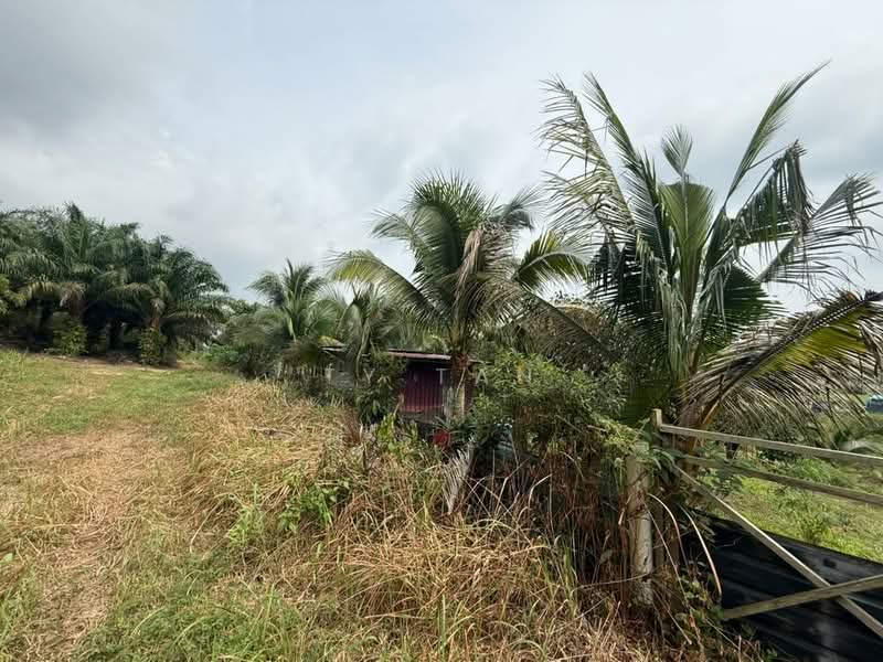 Tanah Pertanian untuk Dijual di Kampung Sungai Redang (Ulu Tiram) - Ty Tan - PropertyGuru.com.my