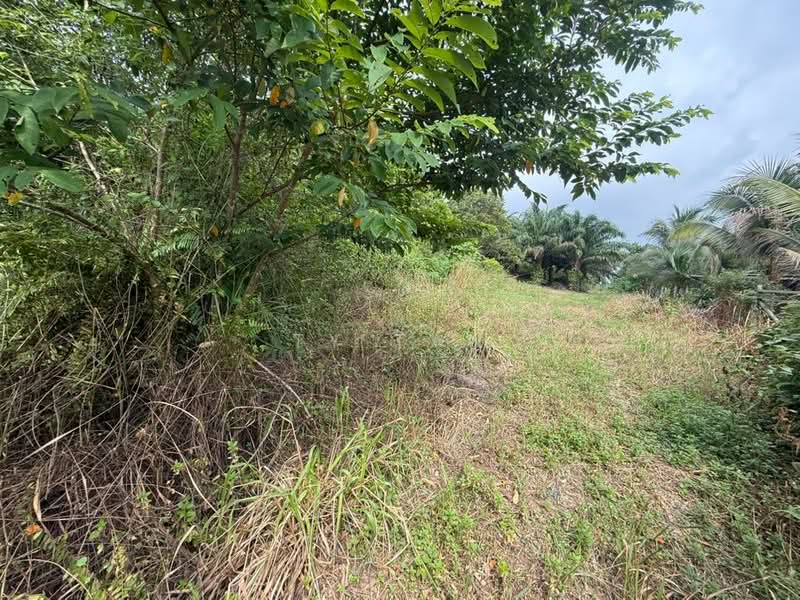 Tanah Pertanian untuk Dijual di Kampung Sungai Redang (Ulu Tiram) - Ty Tan - PropertyGuru.com.my