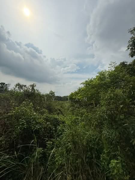 Tanah Pertanian untuk Dijual di Kampung Sungai Redang (Ulu Tiram) - Ty Tan - PropertyGuru.com.my