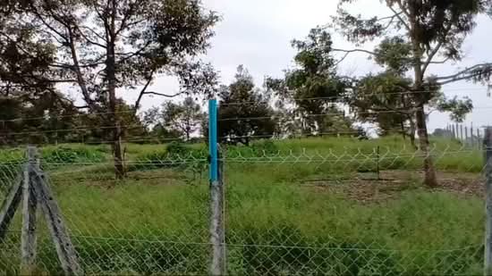 Tanah Pertanian untuk Dijual di Bentong (Pahang) - Norafian SMH - PropertyGuru.com.my