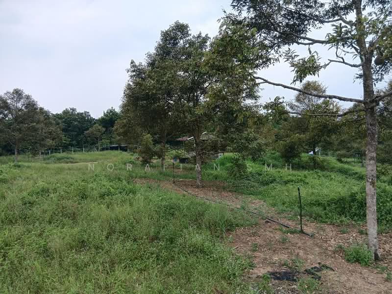 Tanah Pertanian untuk Dijual di Bentong (Pahang) - Norafian SMH - Garden - PropertyGuru.com.my