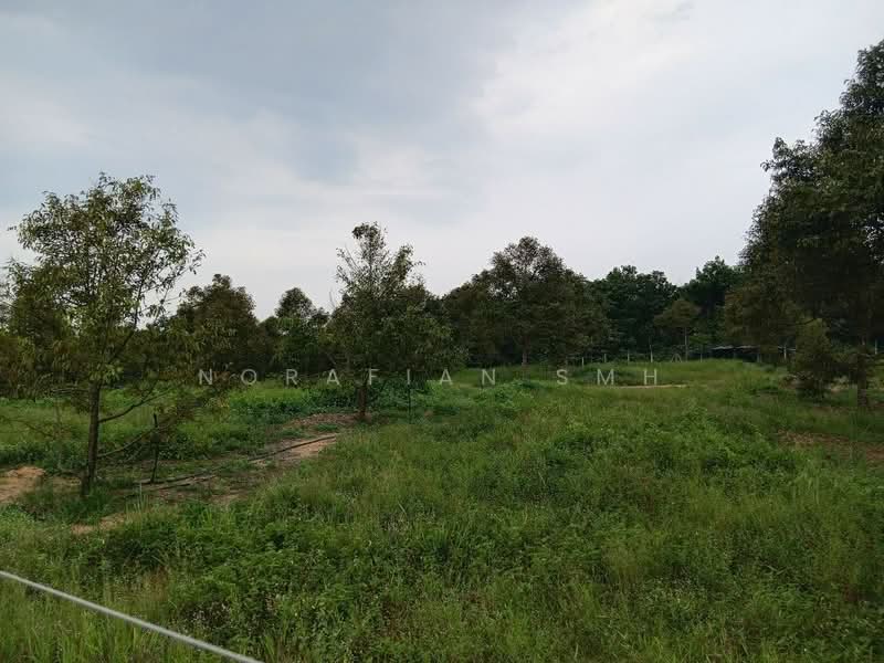 Tanah Pertanian untuk Dijual di Bentong (Pahang) - Norafian SMH - Garden - PropertyGuru.com.my