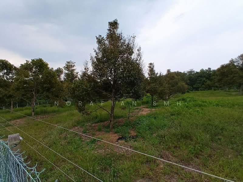 Tanah Pertanian untuk Dijual di Bentong (Pahang) - Norafian SMH - Garden - PropertyGuru.com.my