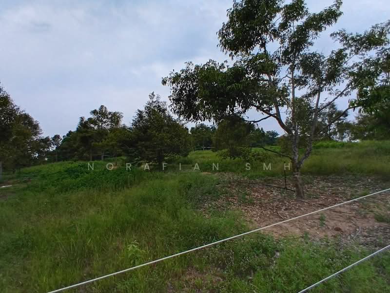 Tanah Pertanian untuk Dijual di Bentong (Pahang) - Norafian SMH - Garden - PropertyGuru.com.my