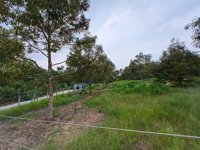 Tanah Pertanian untuk Dijual di Bentong (Pahang) - Norafian SMH - Garden - PropertyGuru.com.my