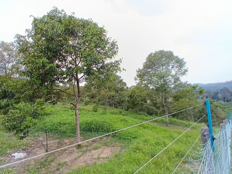 Tanah Pertanian untuk Dijual di Bentong (Pahang) - Norafian SMH - Garden - PropertyGuru.com.my
