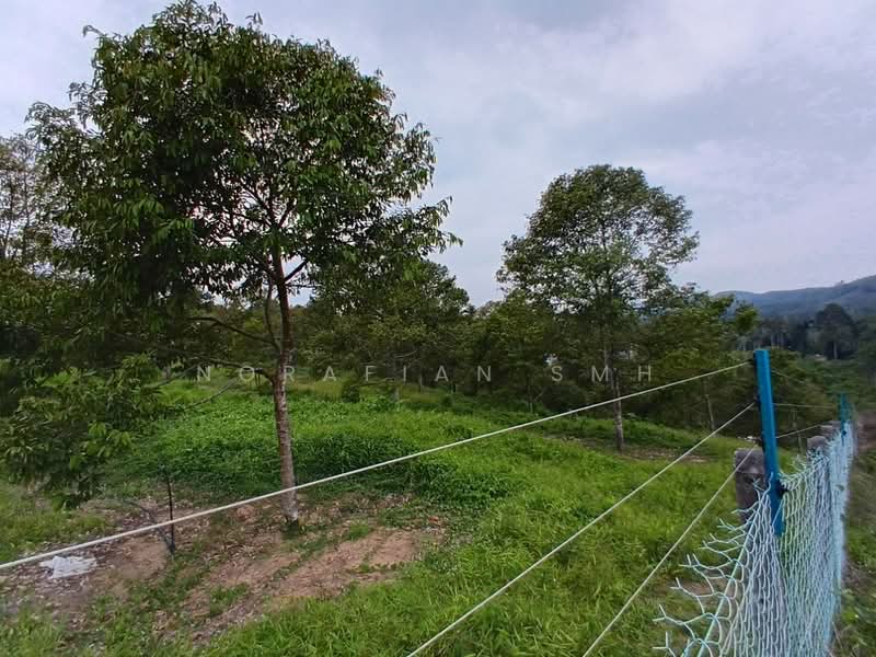 Tanah Pertanian untuk Dijual di Bentong (Pahang) - Norafian SMH - Exterior - PropertyGuru.com.my