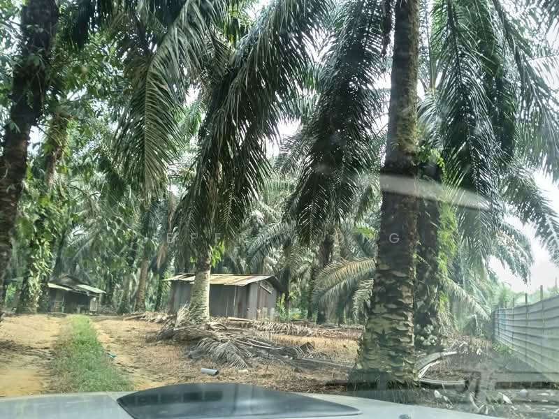 Tanah Pertanian untuk Dijual di Masai (Johor) - Jeffrey Ong - PropertyGuru.com.my
