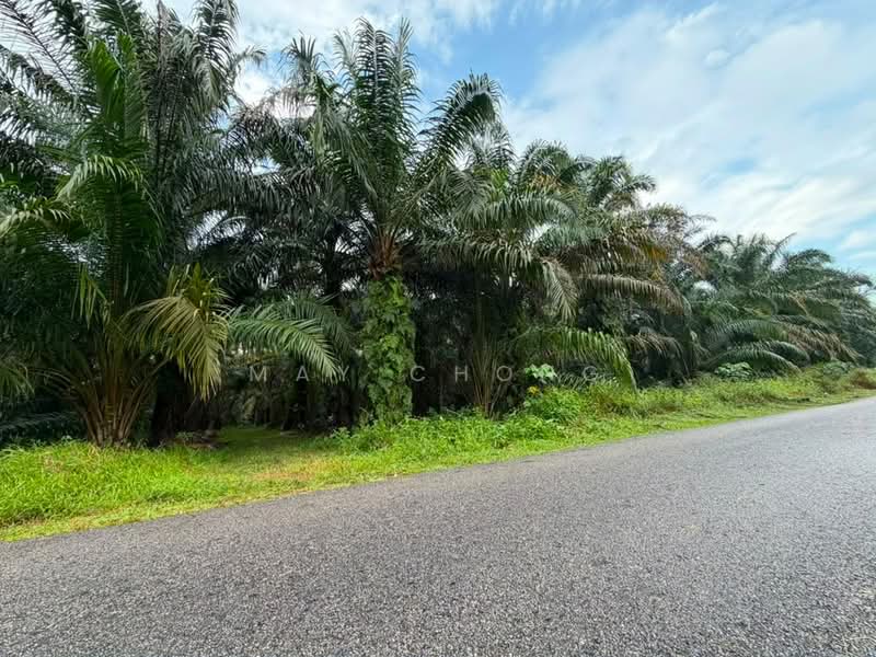 Agricultural Land for Sale in Pontian (Johor) - May Chong - Exterior - PropertyGuru.com.my