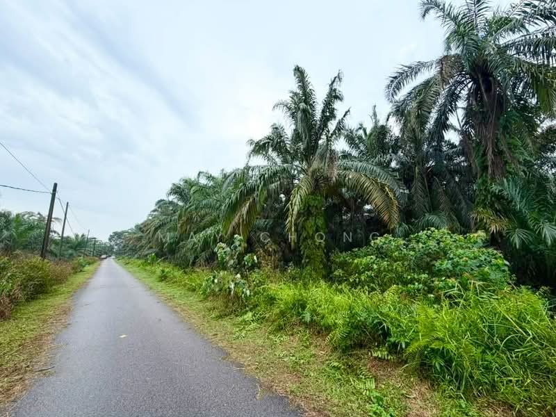 Agricultural Land for Sale in Pontian (Johor) - May Chong - Exterior - PropertyGuru.com.my
