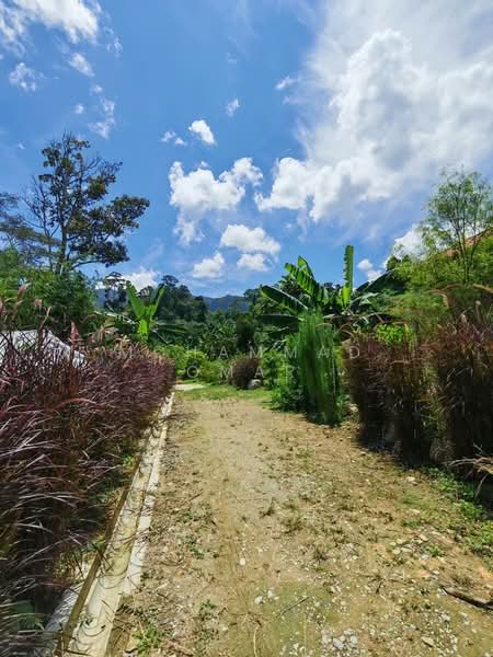 Other Property for Sale in Janda Baik (Bentong) - Mohammad Omar - PropertyGuru.com.my