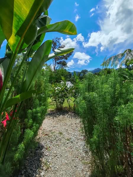 Other Property for Sale in Janda Baik (Bentong) - Mohammad Omar - PropertyGuru.com.my