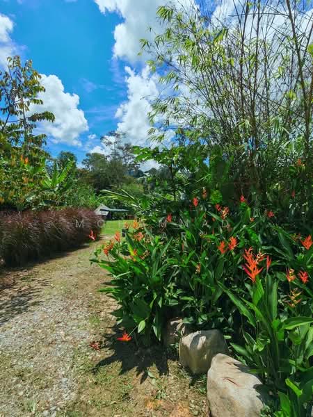 Other Property for Sale in Janda Baik (Bentong) - Mohammad Omar - PropertyGuru.com.my