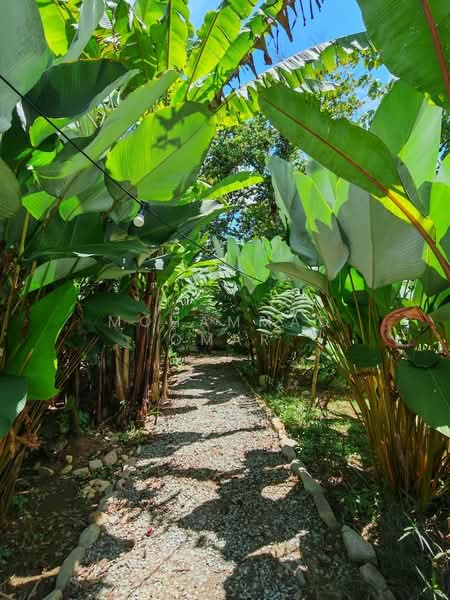 Other Property for Sale in Janda Baik (Bentong) - Mohammad Omar - PropertyGuru.com.my