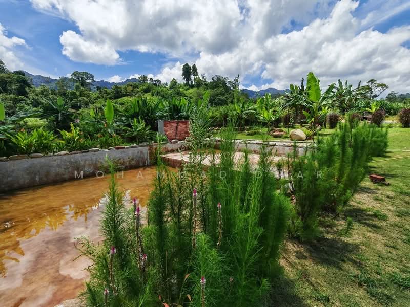 Other Property for Sale in Janda Baik (Bentong) - Mohammad Omar - PropertyGuru.com.my