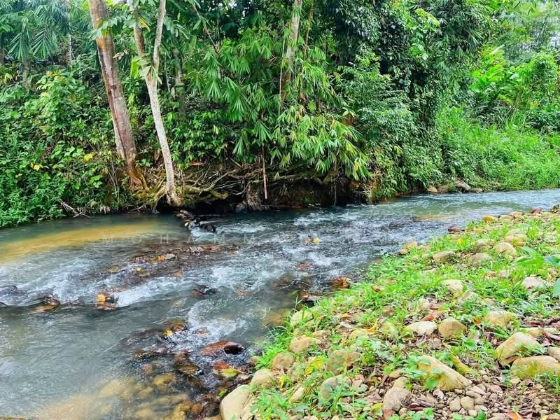 Other Property for Sale in Janda Baik (Bentong) - Mohammad Omar - PropertyGuru.com.my
