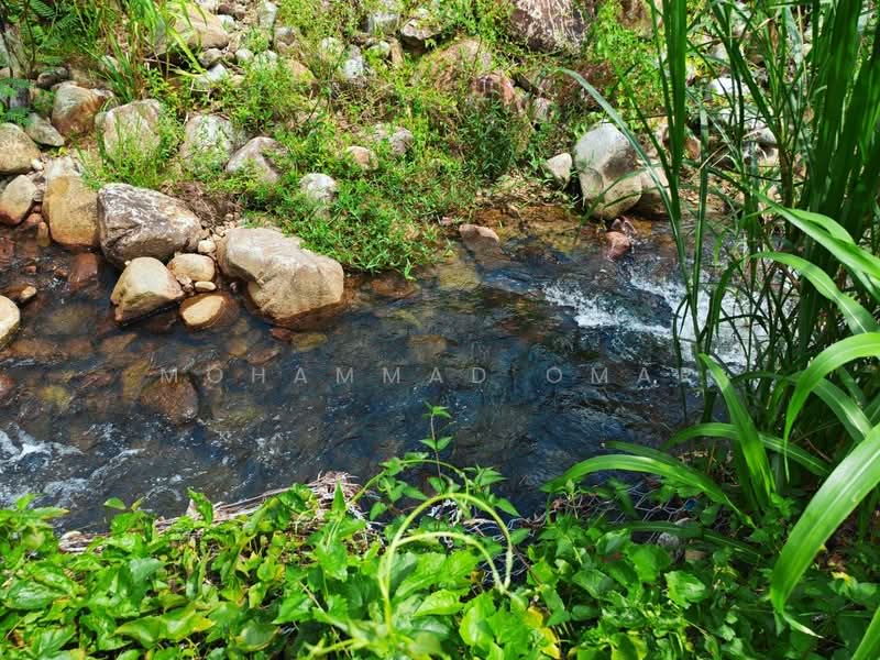 Other Property for Sale in Janda Baik (Bentong) - Mohammad Omar - PropertyGuru.com.my