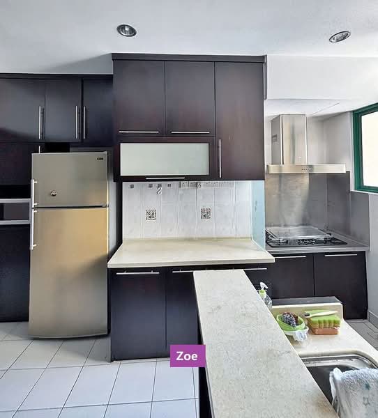 Condominium for Rent at Tanjung Park Condominium - Zoe Liau - Kitchen - PropertyGuru.com.my