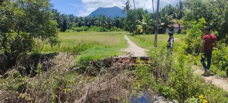 Tanah Pertanian untuk Dijual di Tanjung Dawai (Kedah) - Shahidan Ismail - Exterior - PropertyGuru.com.my