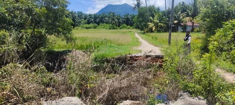Tanah Pertanian untuk Dijual di Tanjung Dawai (Kedah) - Shahidan Ismail - Exterior - PropertyGuru.com.my