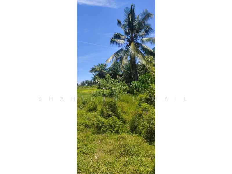 Tanah Pertanian untuk Dijual di Tanjung Dawai (Kedah) - Shahidan Ismail - Garden - PropertyGuru.com.my